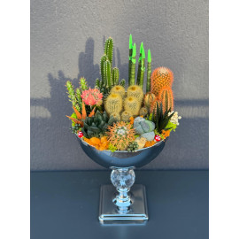 ÖZEL LÜX CANLI TERARYUM